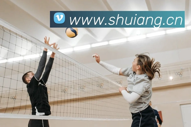 爱游戏ayx登录官网服务体系